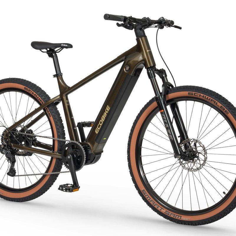 Rower elektryczny Ecobike SX 300 Green